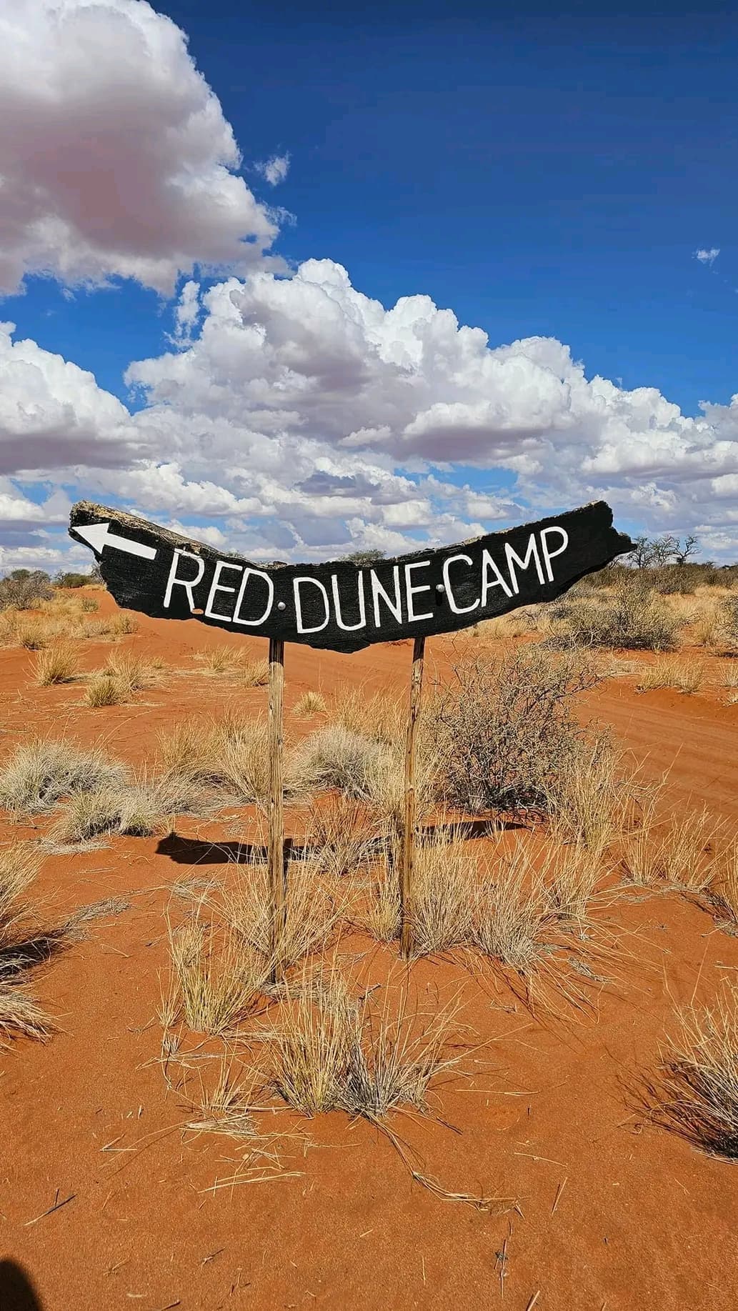 Camp 3 gallery 4