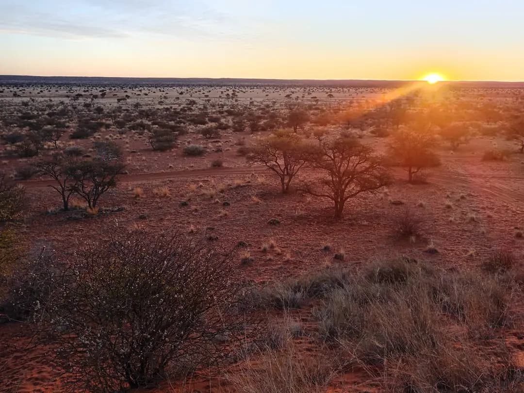 Red Dune Camp signpost in the red Kalahari sand