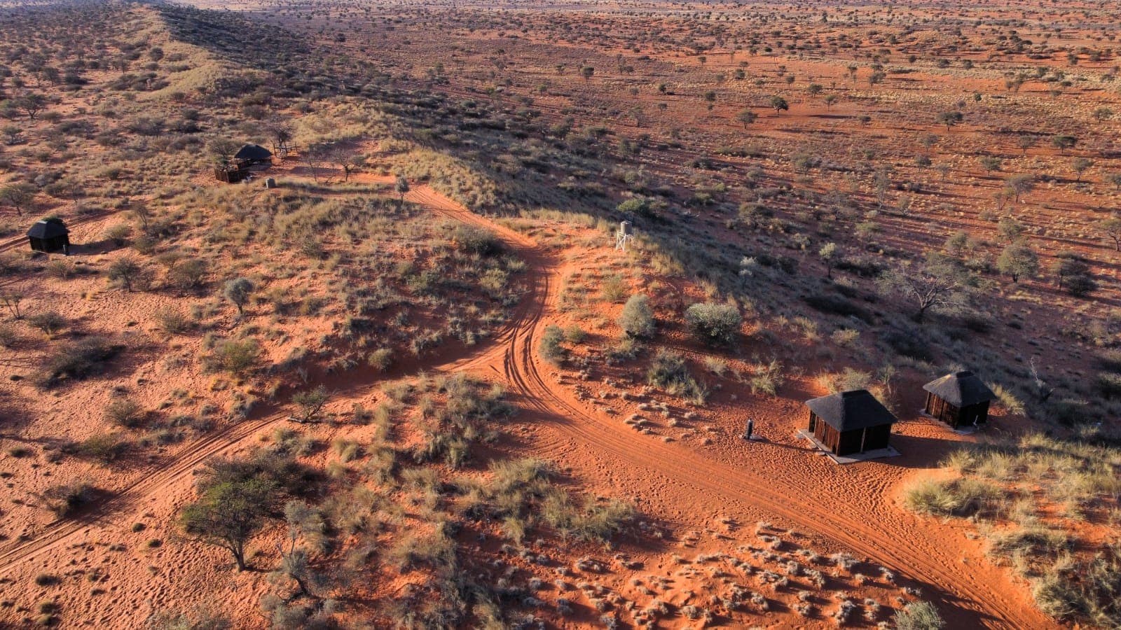 Approach road into Red Dune Camp
